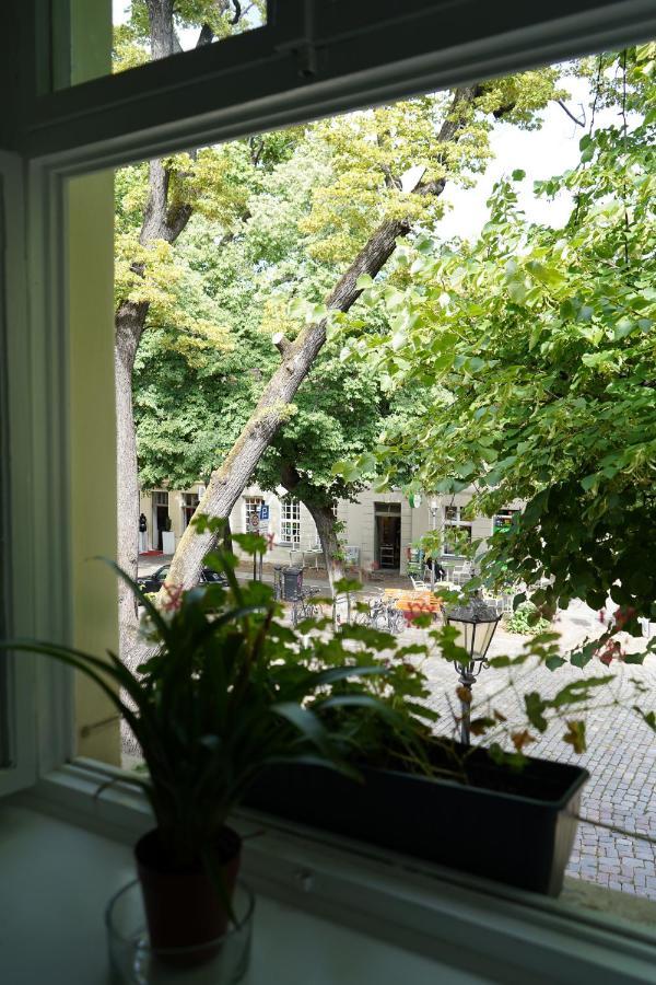 Cafe Alice & Pension Gmbh Potsdam Luaran gambar